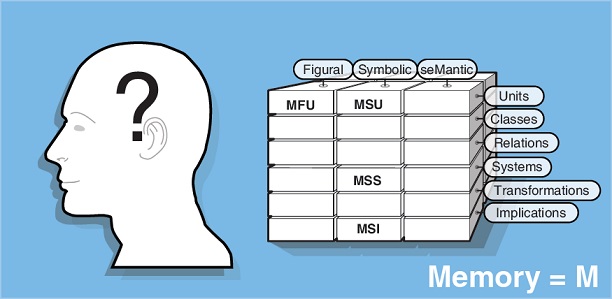Memory Details